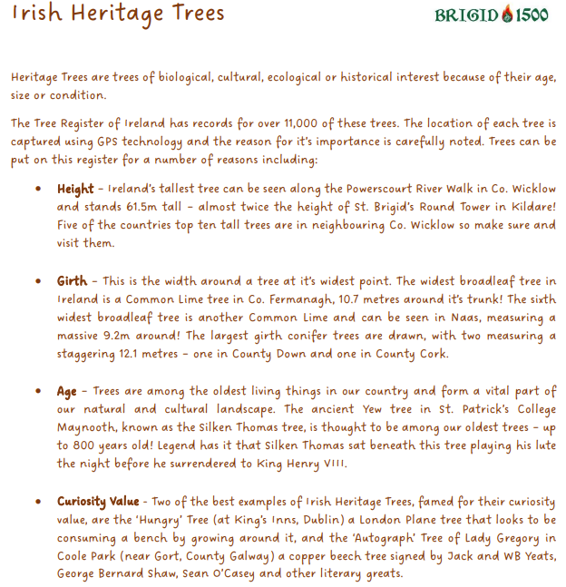 Heritage Trees of Ireland